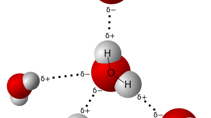 なぜ，第2周期(C, N, O, F)だけ水素結合が顕著なのか？